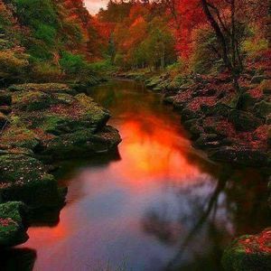 Meet your Posher, Soyoung